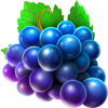 stunning cash cash mesh link grape symbol
