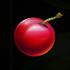 stunning cash powerpoints cherry symbol