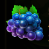stunning cash powerpoints grapes symbol