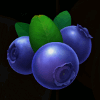 stunning crown blueberries symbol