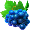 stunning crown cash mesh link grape symbol