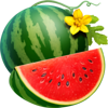 stunning crown cash mesh link watermelon symbol