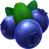 stunning crown extra blueberry symbol