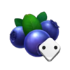stunning crown extra dice blueberry symbol
