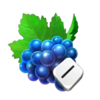 stunning crown extra dice grape symbol