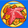 summer bliss starfish symbol