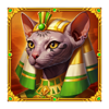sunny coin 10000 bastet symbol