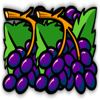 sunrise reels grapes symbol