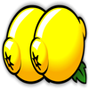 sunrise reels lemons symbol