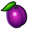 super 7 winner plum symbol