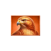 super ascent charge bison eagle symbol