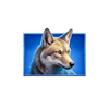 super ascent charge bison wolf symbol