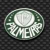 super campeonato brasileiro palmeiras symbol