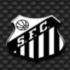 super campeonato brasileiro santosfc symbol