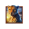 super stampede cheetah symbol