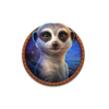 super stampede meercat symbol