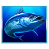 super tuna overload fish 2 symbol