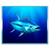 super tuna overload fish 3 symbol