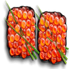 sushi orange sushi symbol