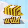 sweet candy wild symbol