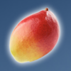 sweet n sour winter avocado symbol