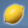sweet n sour winter lemon symbol