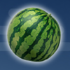 sweet n sour winter melon symbol