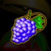 swing joker grapes symbol