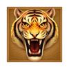 tada gaming 3 coin wild tiger tiger symbol