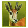tada gaming safari king antelope symbol