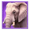 tada gaming safari king elephant symbol