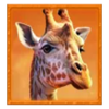 tada gaming safari king giraffe symbol