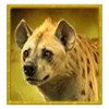 tada gaming safari king hayena symbol