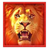 tada gaming safari king lion symbol