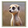 tada gaming safari king meerkats symbol