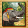 thai flower elephant symbol