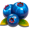 thanksgiving feast blueberries symbol