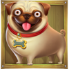 the big dog 3 house dog symbol