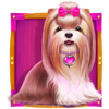 the big dog house dog 2 symbol