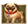 the dog house megaways 1000 beige puppy symbol