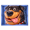 the dog house megaways 1000 black puppy symbol