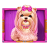 the dog house megaways 1000 bow puppy symbol