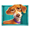 the dog house megaways 1000 brown puppy symbol