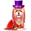 the dog mansion royal hunt dog 3 symbol
