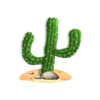 the elusive gonzales cactus symbol