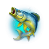 the fin finder blue fish symbol