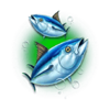 the fin finder green fish symbol