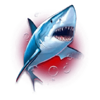 the fin finder shark symbol