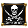 the goonies quest for treasure 3 flag symbol