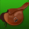 the grand national race of champions saddle symbol